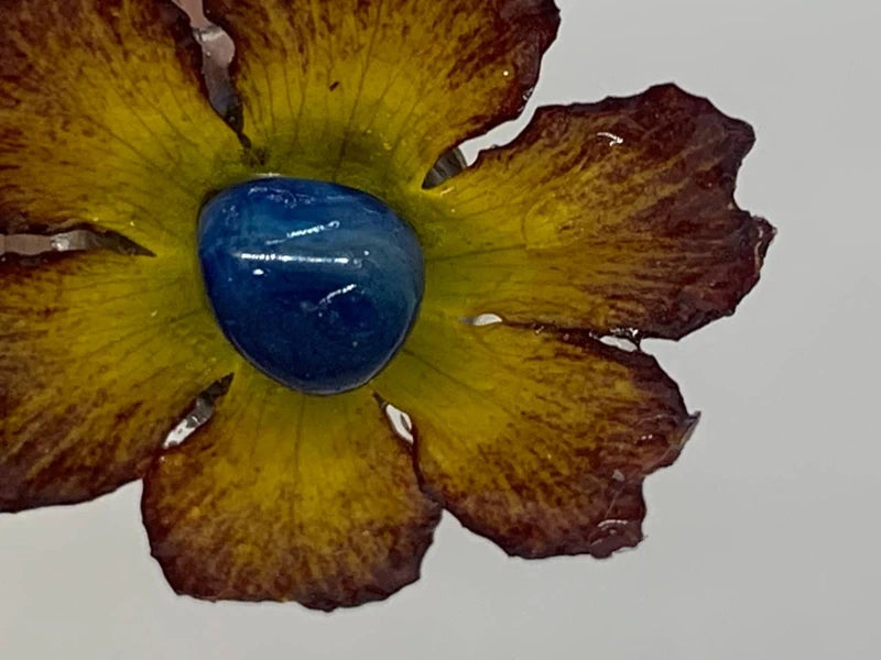 Anello regolabile in ottone anticato con fiore naturale in resina e agata blu