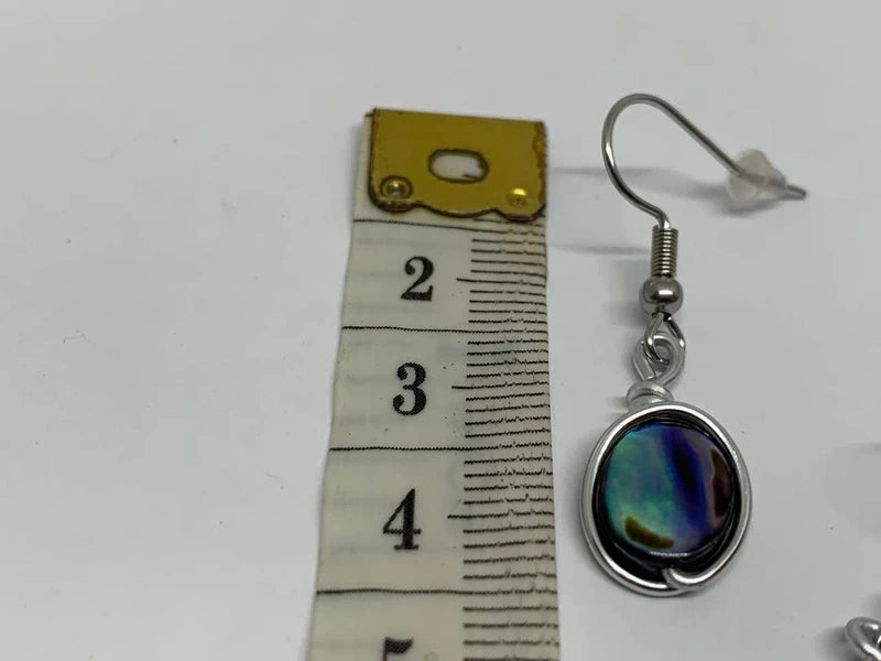 Orecchini pendenti con abalone 6x8 mm
